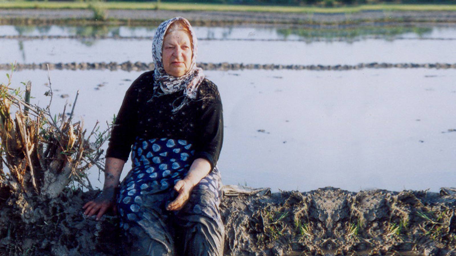 مکرمه، خاطرات و رویاها-هاشور