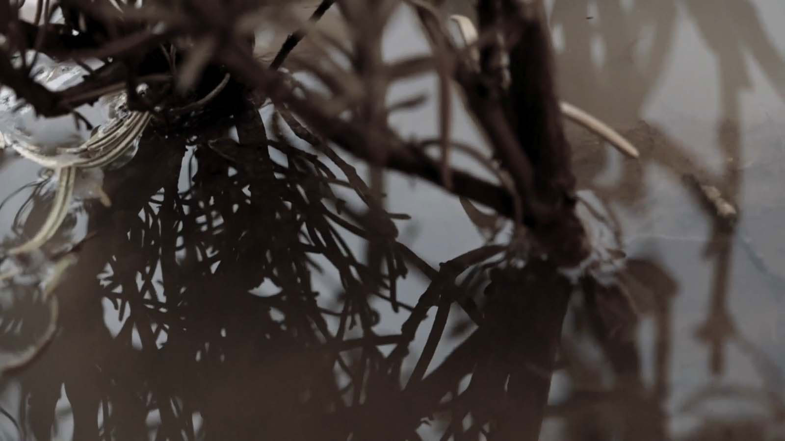 کلک حضور-هاشور