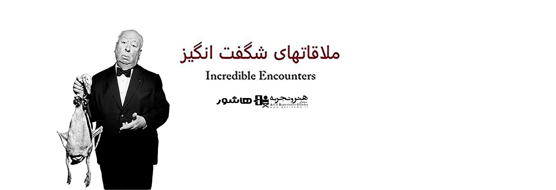 ملاقات های شگفت انگیز-هاشور