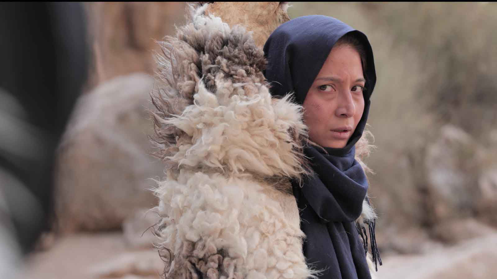 قبل از تاریکی-هاشور