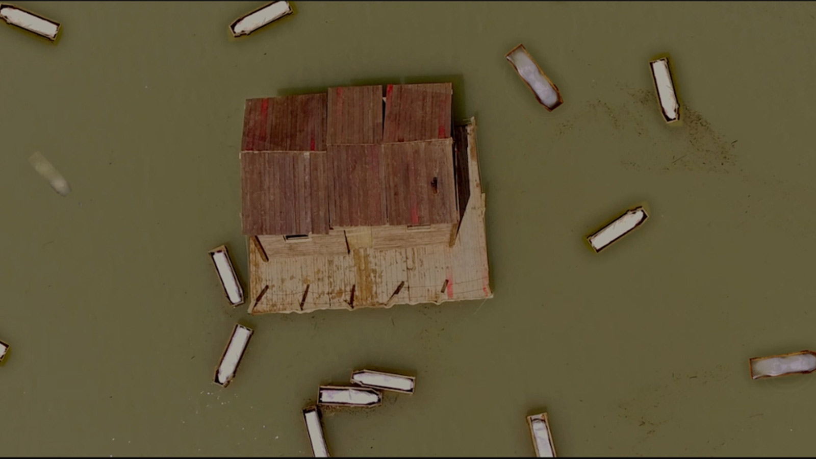 دریا موج موج میلرزد