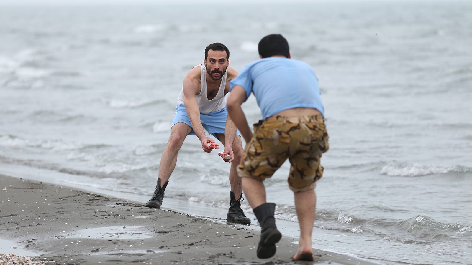 خروس ها-هاشور