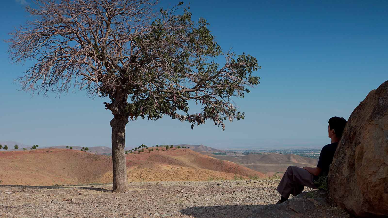 پیژامه راه راه پدر را باد برد-هاشور
