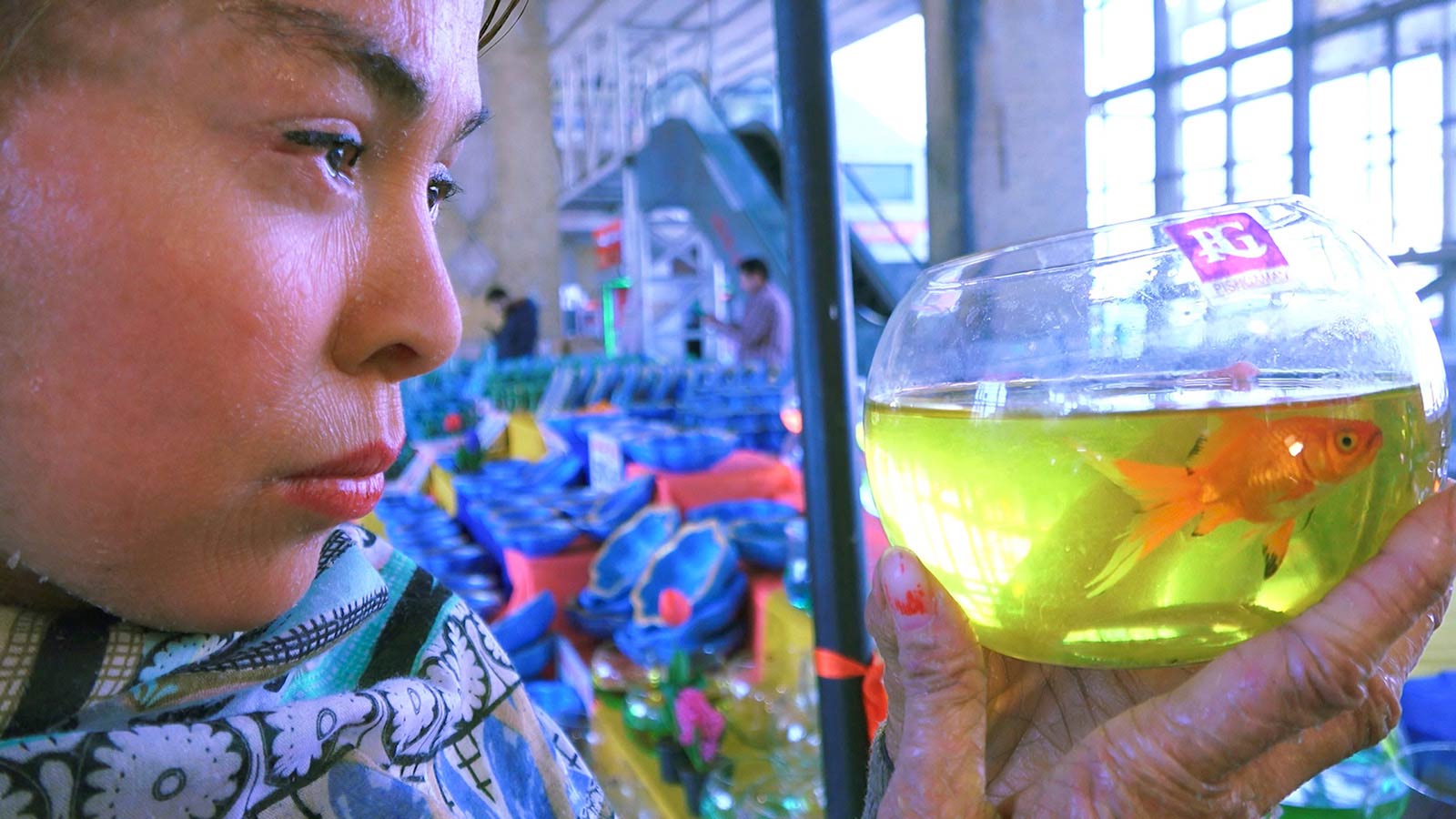 ماهیاک-هاشور