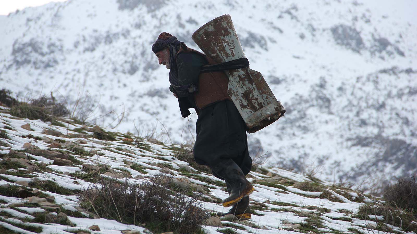 مترسک ها هم می میرند-هاشور