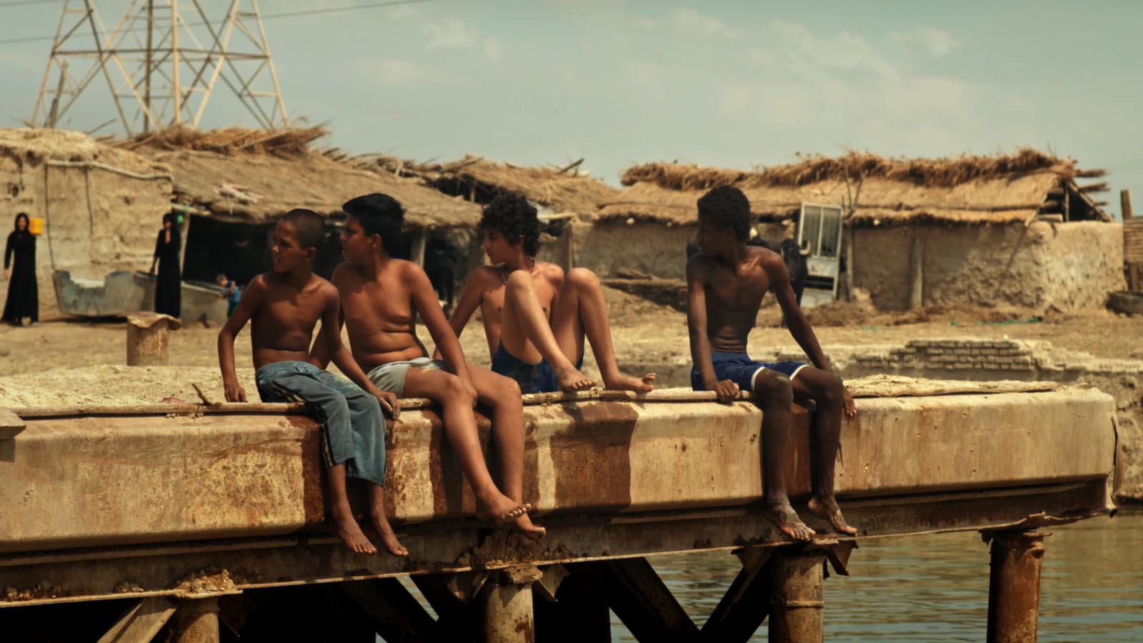 گاو آمریكایی-هاشور