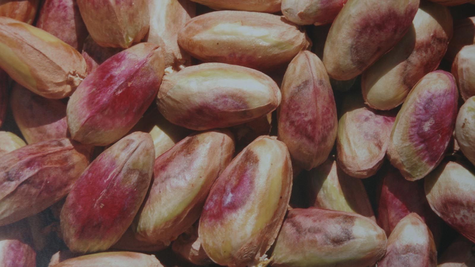 دشت آدمخوار-هاشور