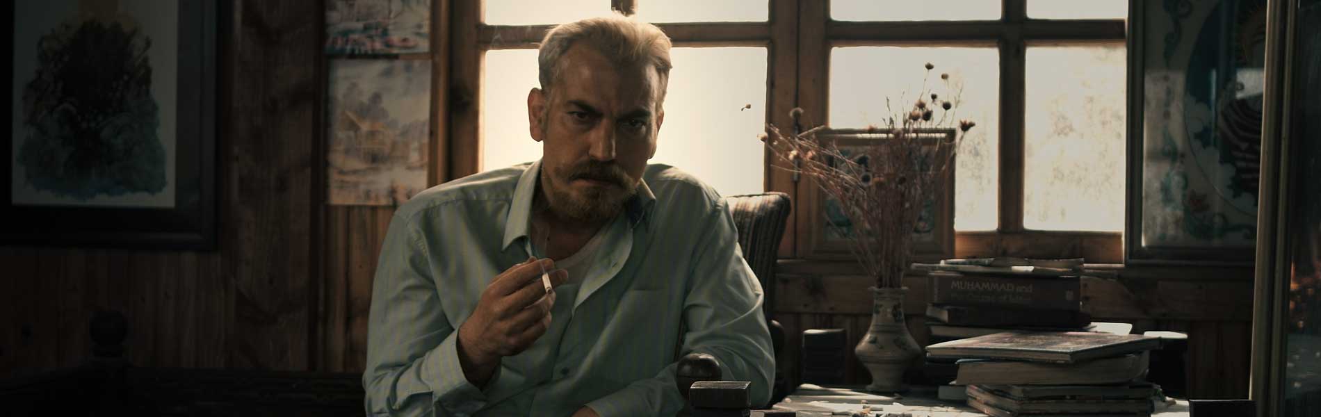 کوبیسم-هاشور