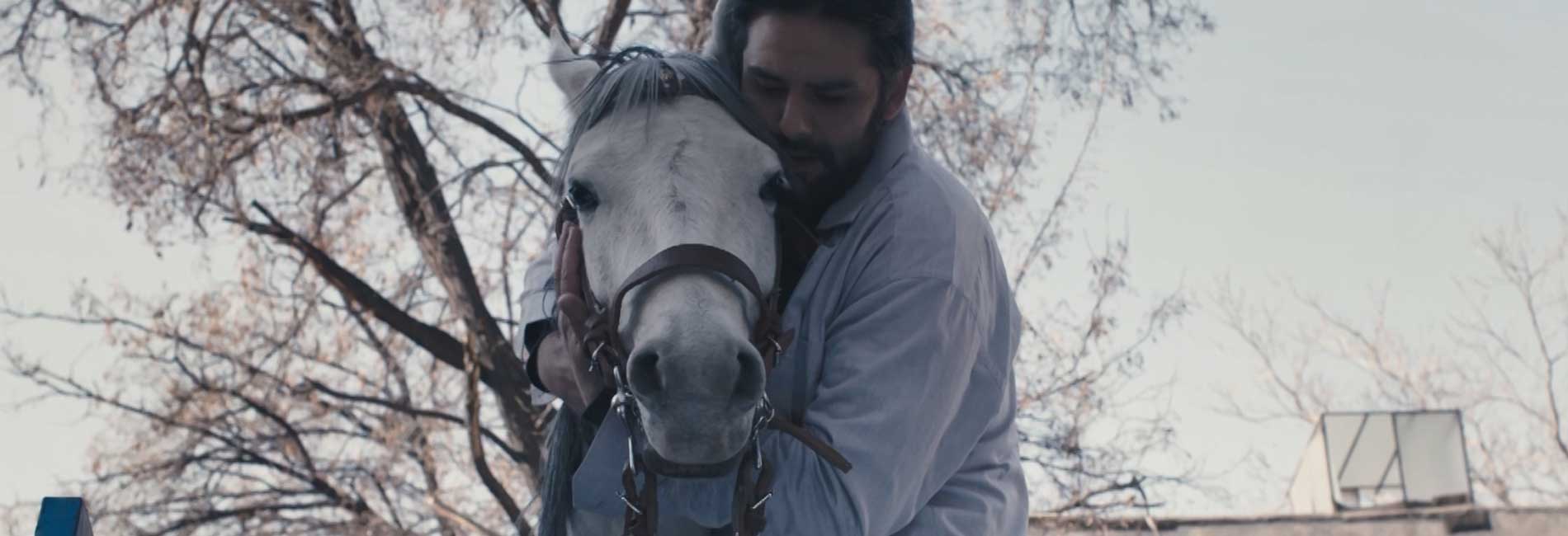 مجلس شبیه-هاشور