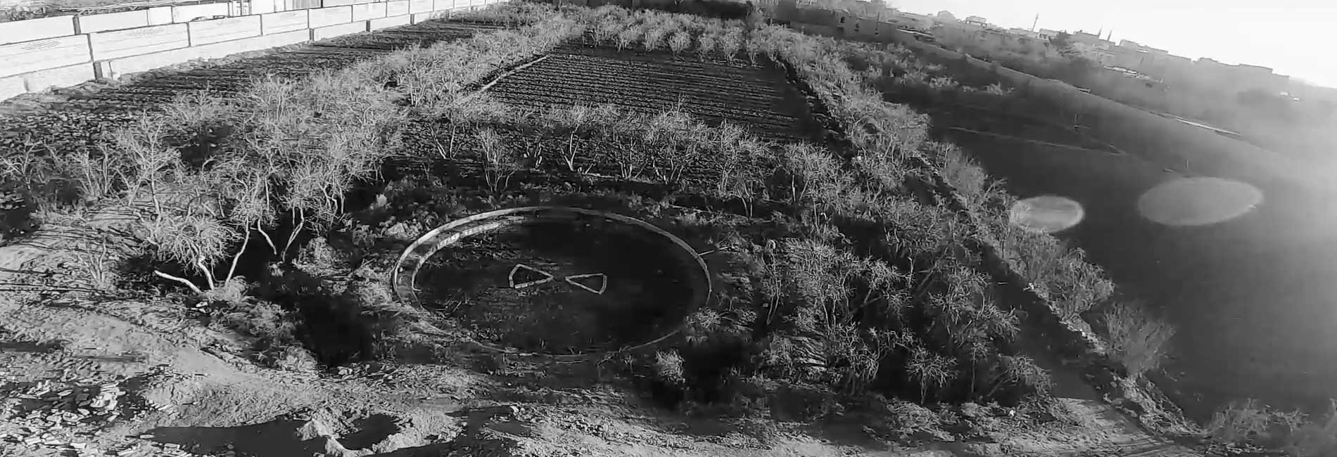 باغ بی برگی-هاشور