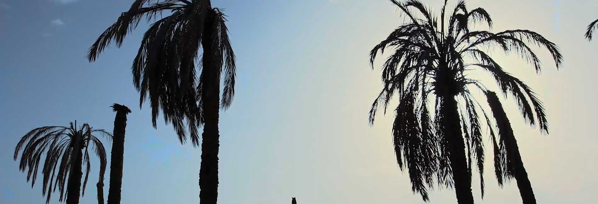 آب ما را خواهد برد-هاشور