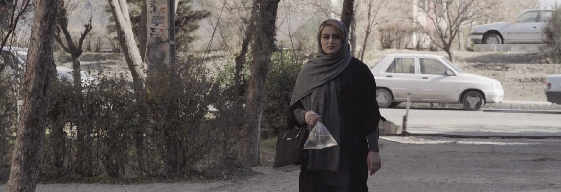 ماهی ها جان می دهند-هاشور