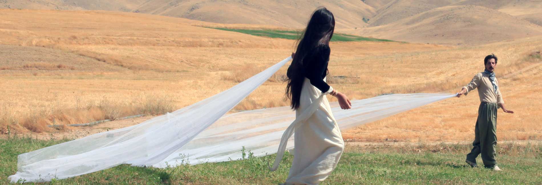 پروانه بلوطی