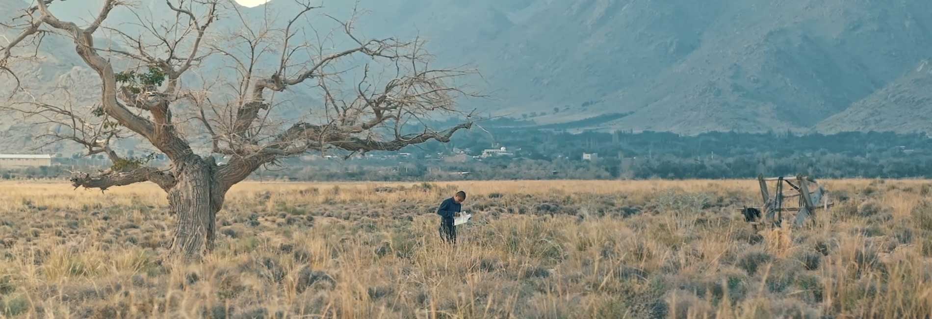 زیرده-هاشور