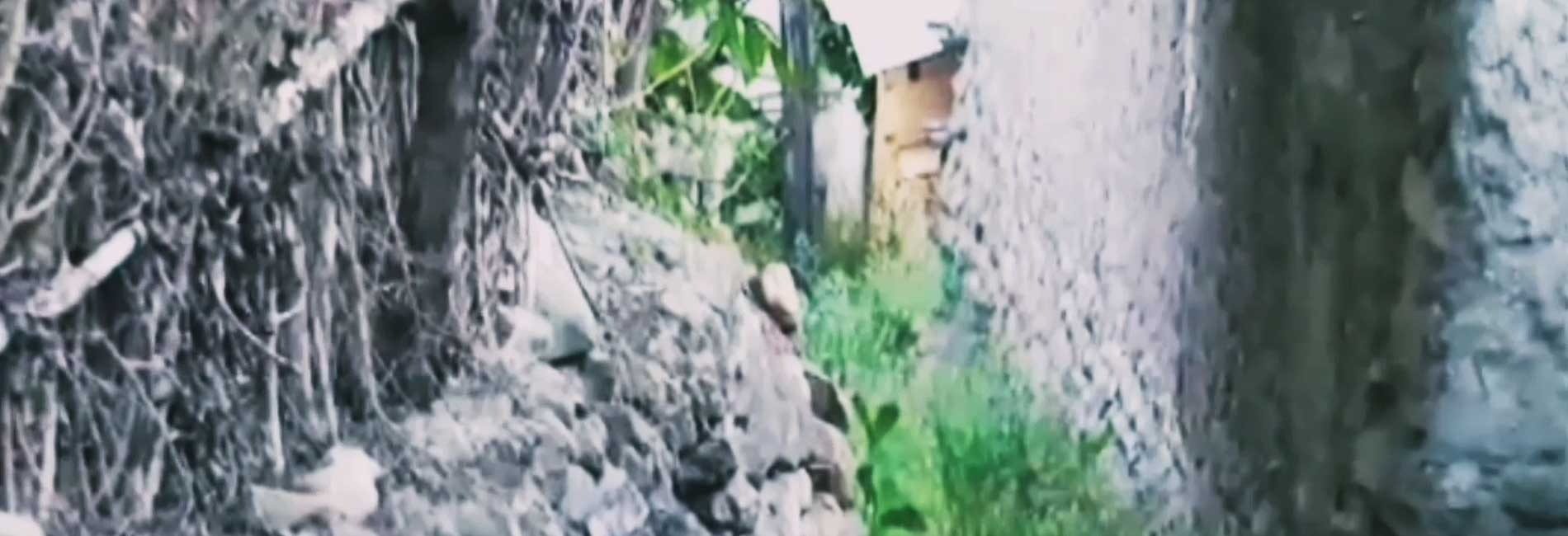 سین مثل سفیداران-هاشور