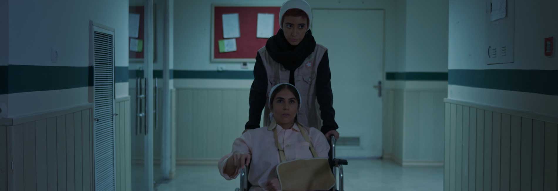 پرنده سیاه-هاشور