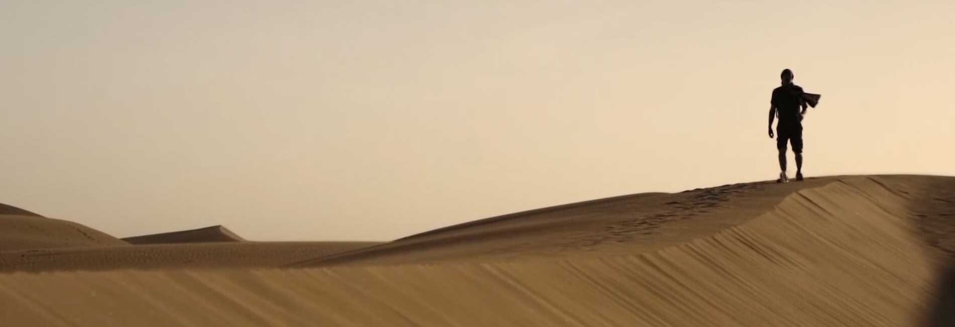 مازیار آل داوود-هاشور