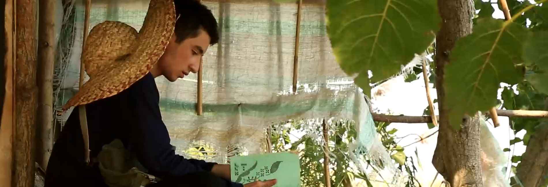 نامه های آبی