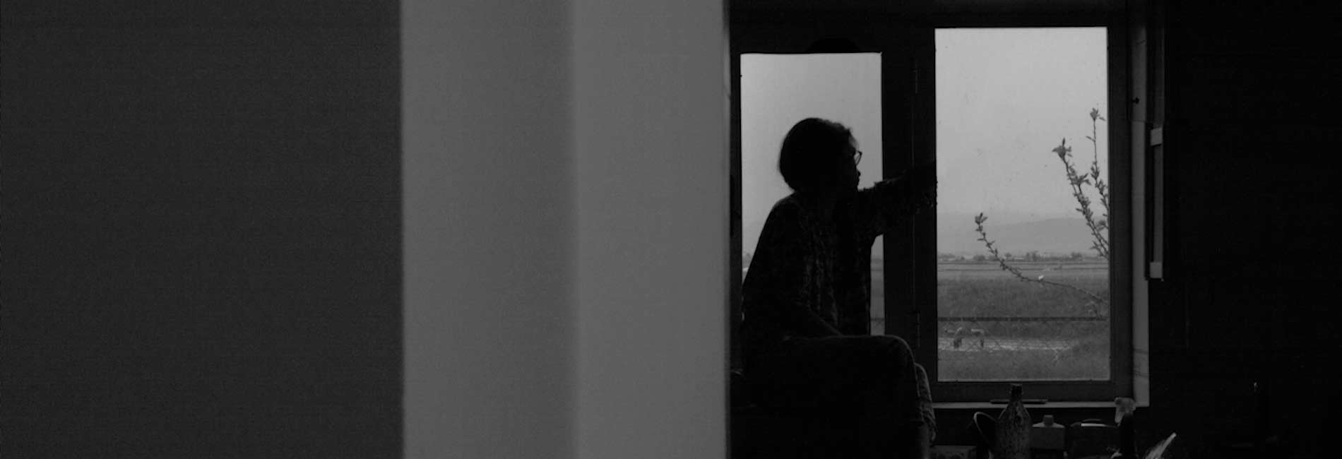 روزهای خاکستری-هاشور