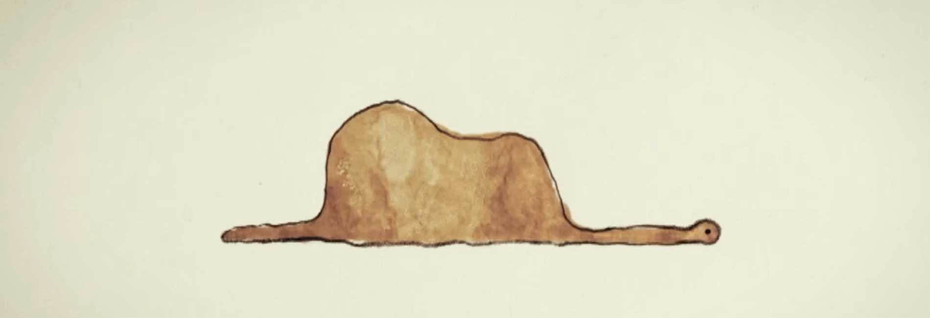 شازده کوچولو 2-هاشور