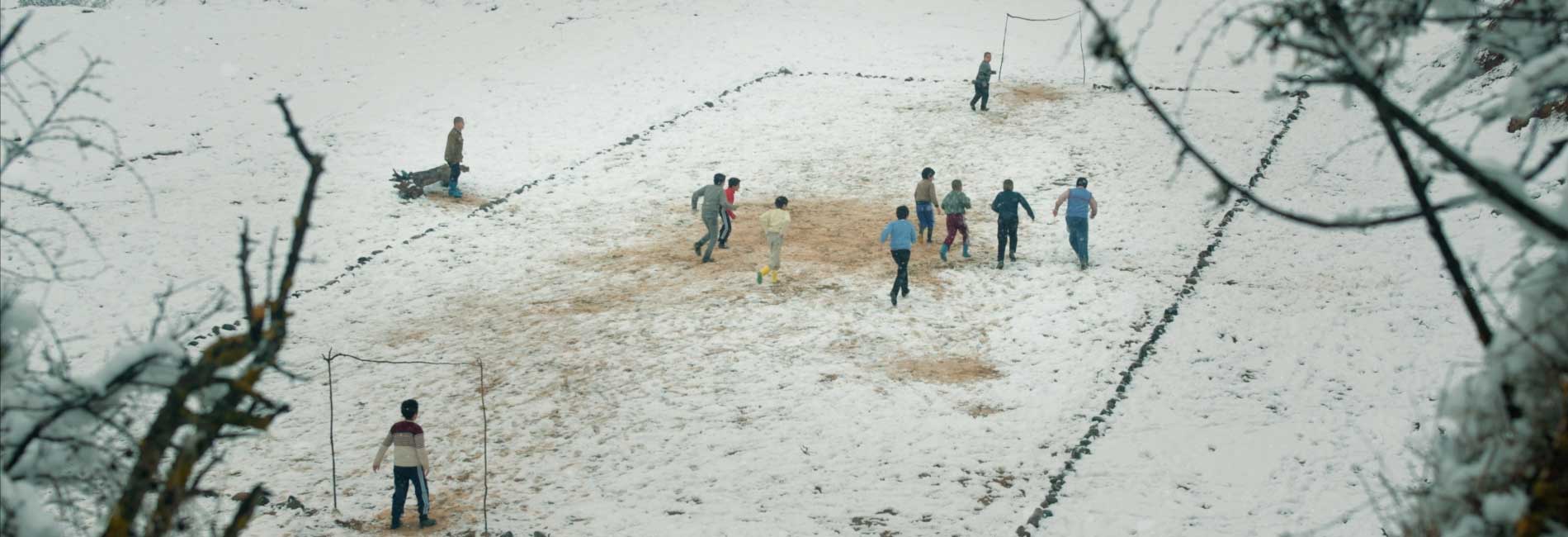 تی یره-هاشور