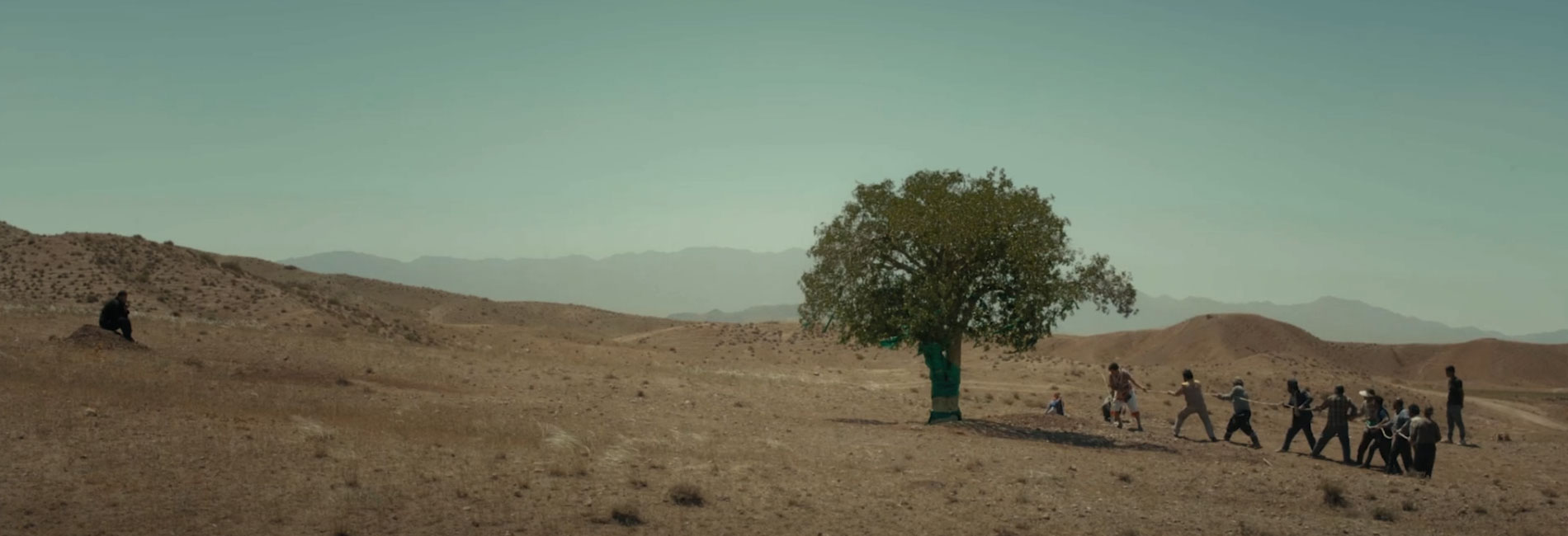 زرفت اولیا-هاشور