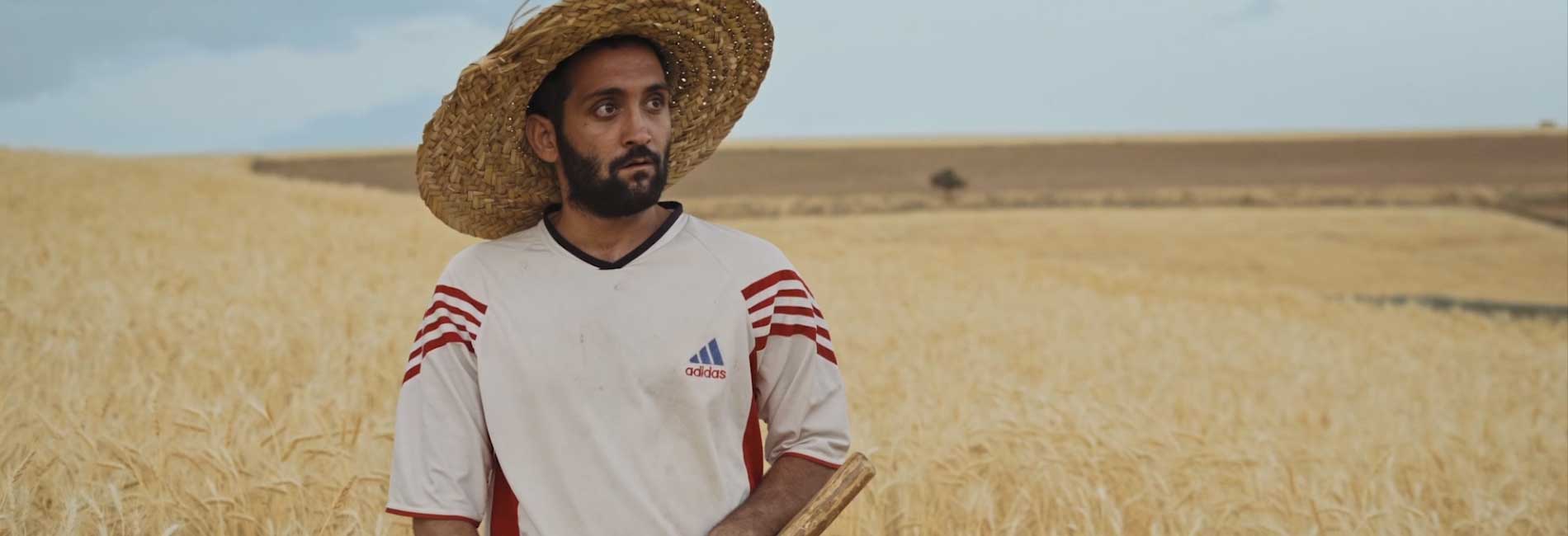 شعبده-هاشور