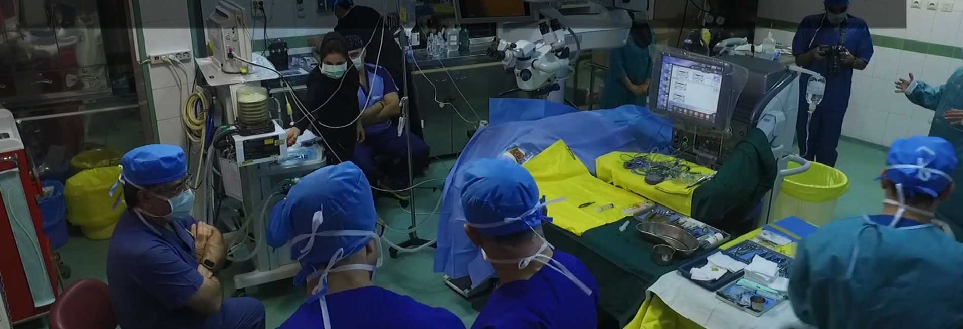 آرگوس-هاشور