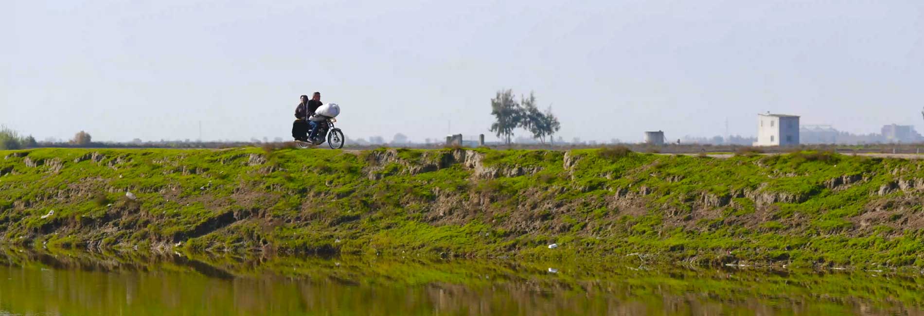 برای نگار-هاشور