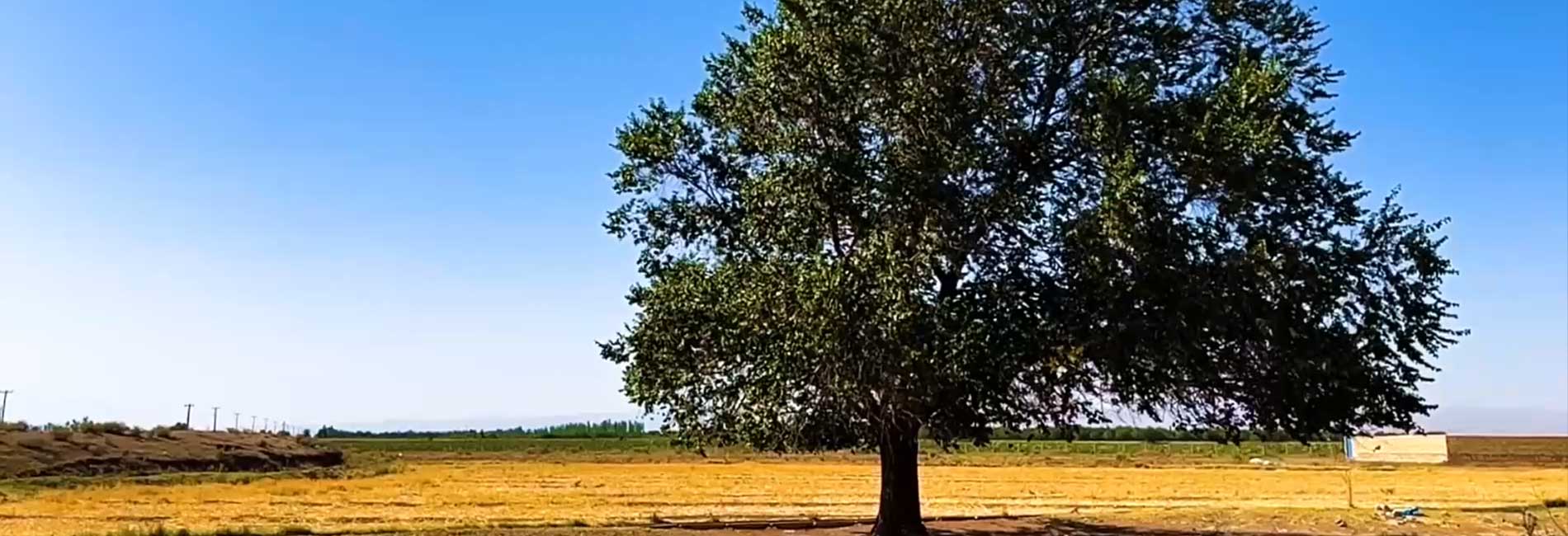 بهانه را-هاشور