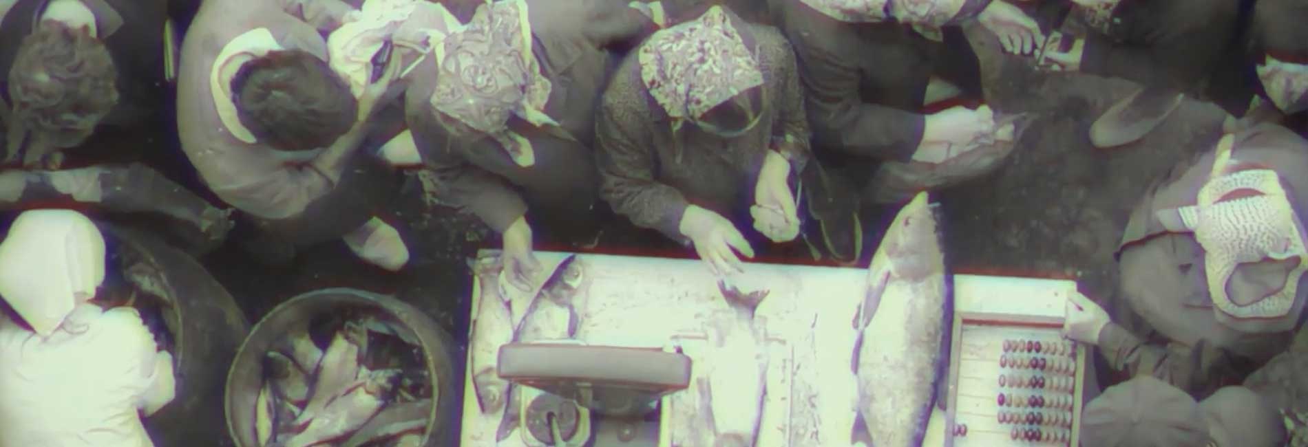 قسمت سوم-هاشور