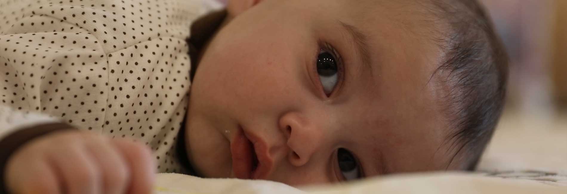 خانه شبیر-هاشور