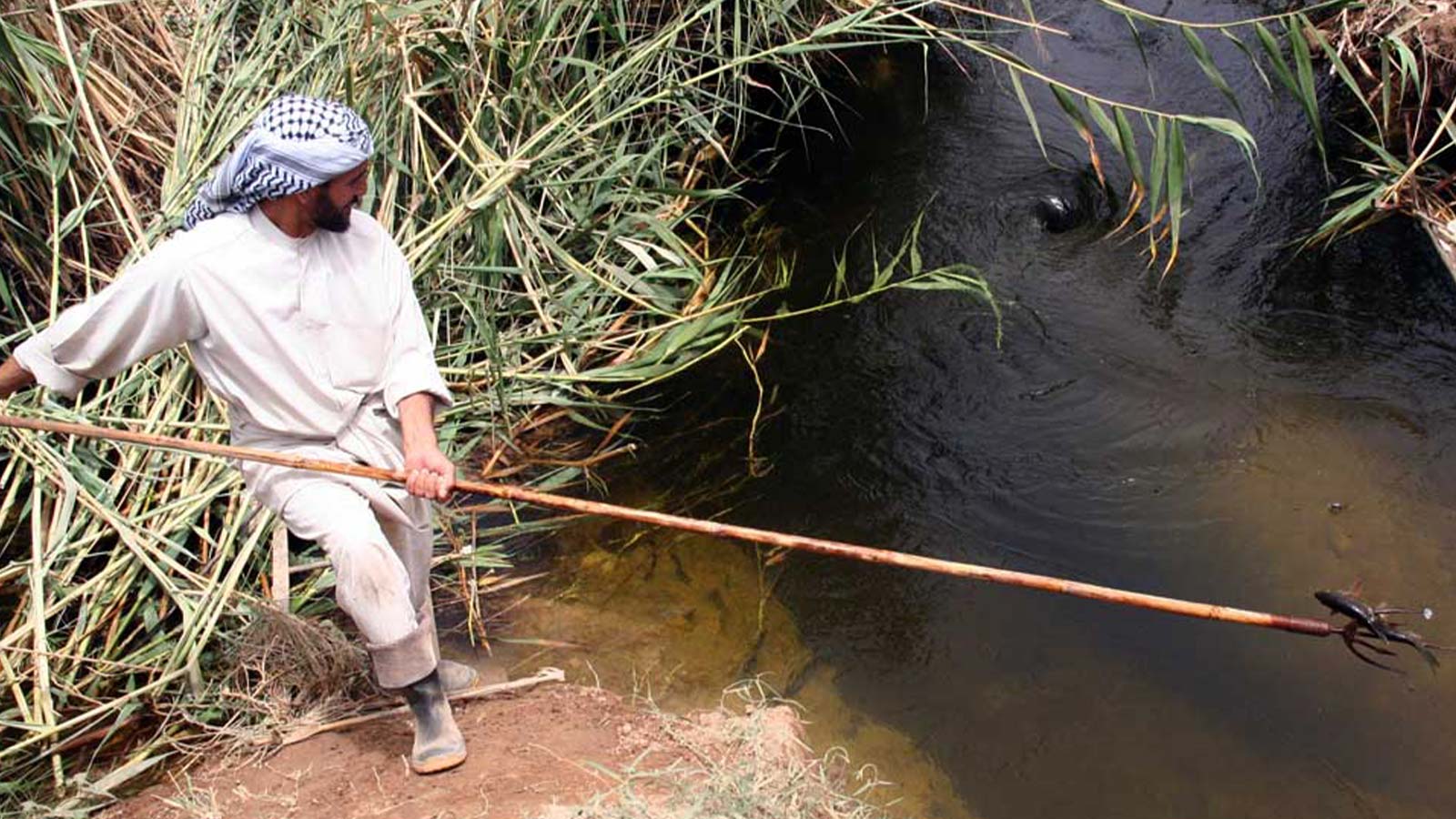 ایران، جنوب غربی-هاشور
