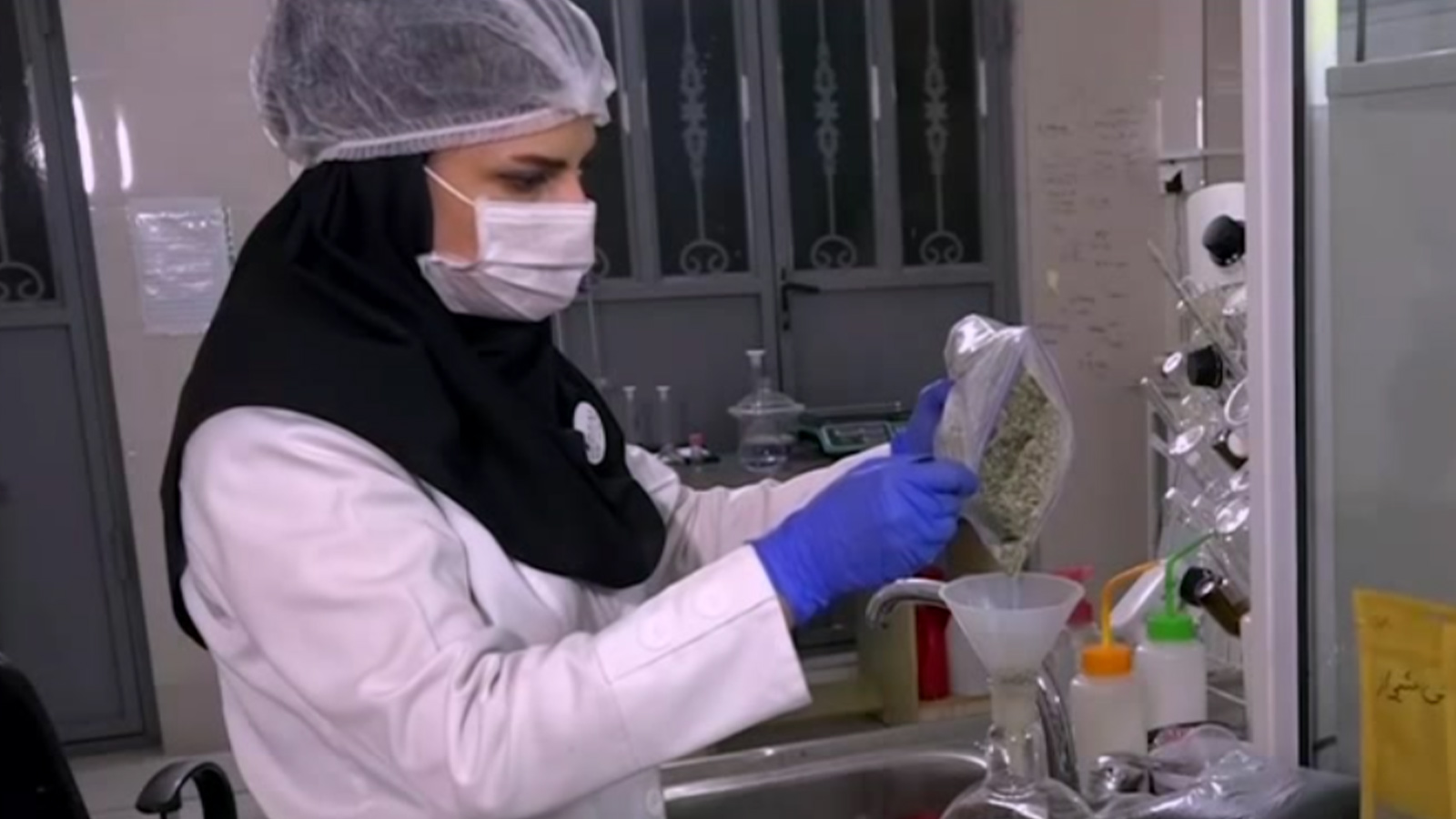 اقتصاد زنان و مشاغل خانگی-هاشور