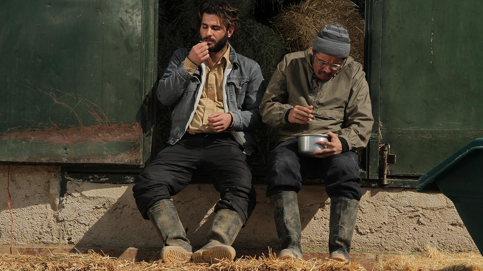 پسرم مرده-هاشور