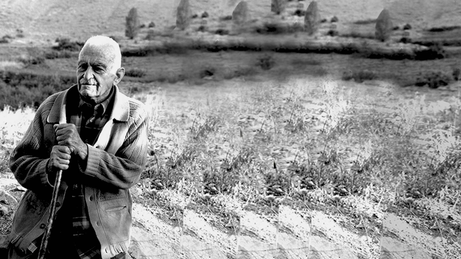 خون است دلم برای ایران