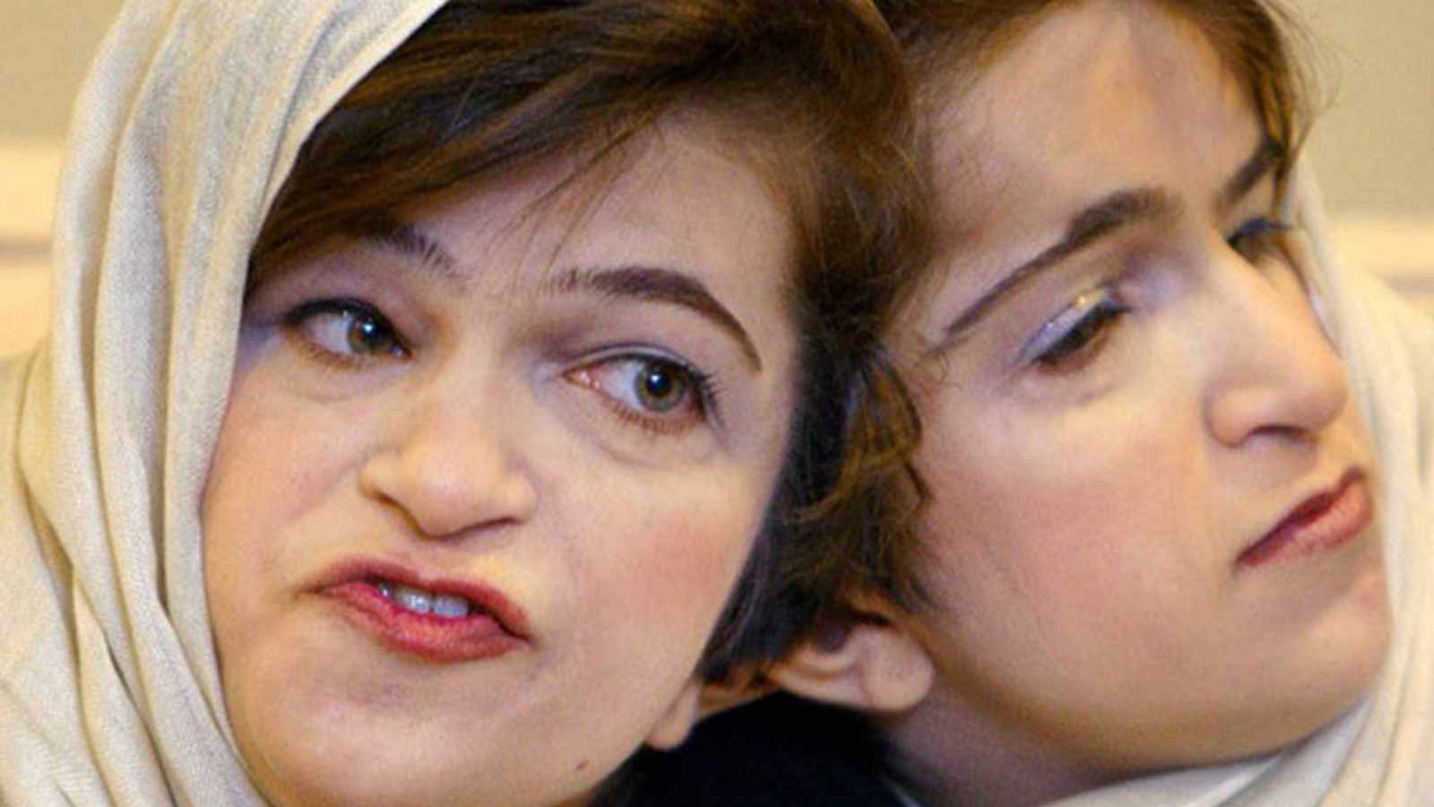 لاله و لادن-هاشور