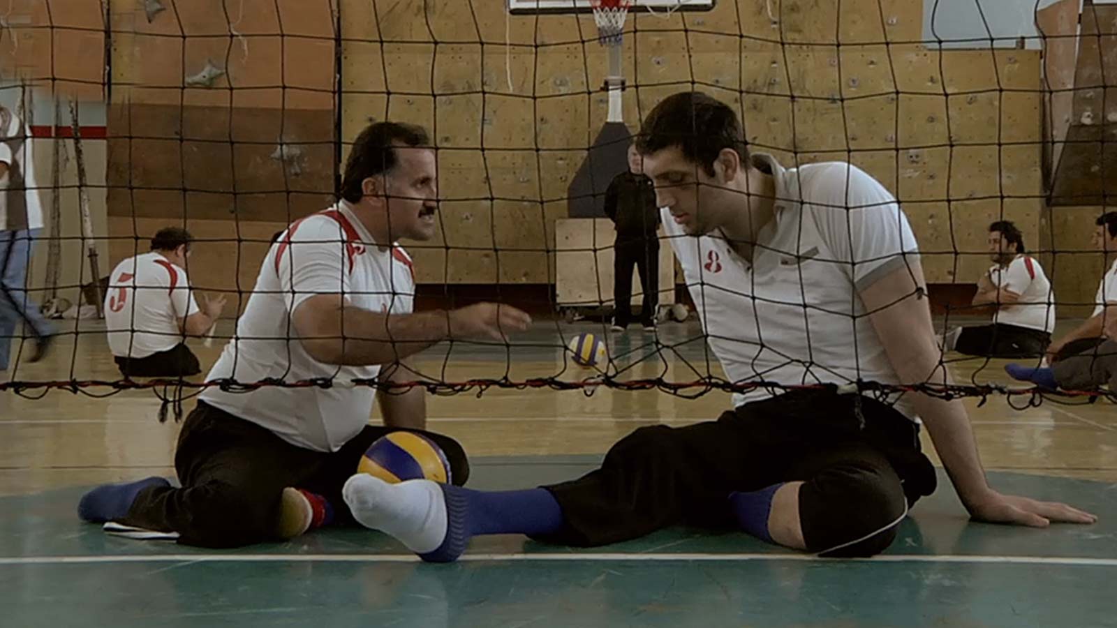 دو ممیز چهل و هفت-هاشور