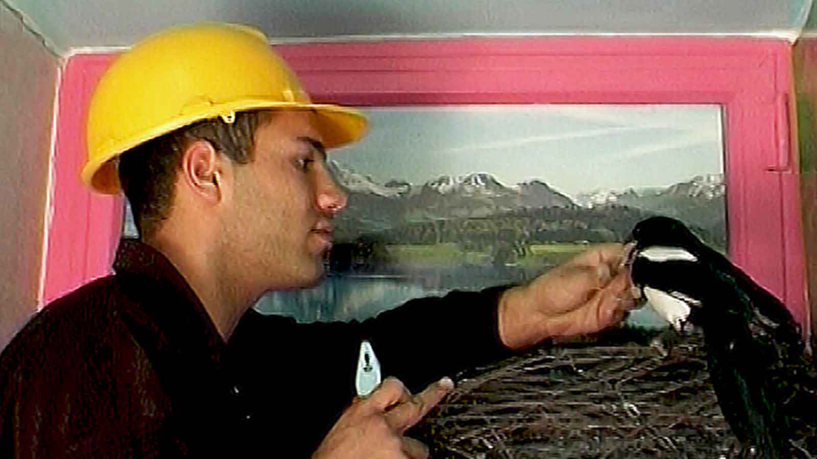 مرگ زمین-هاشور