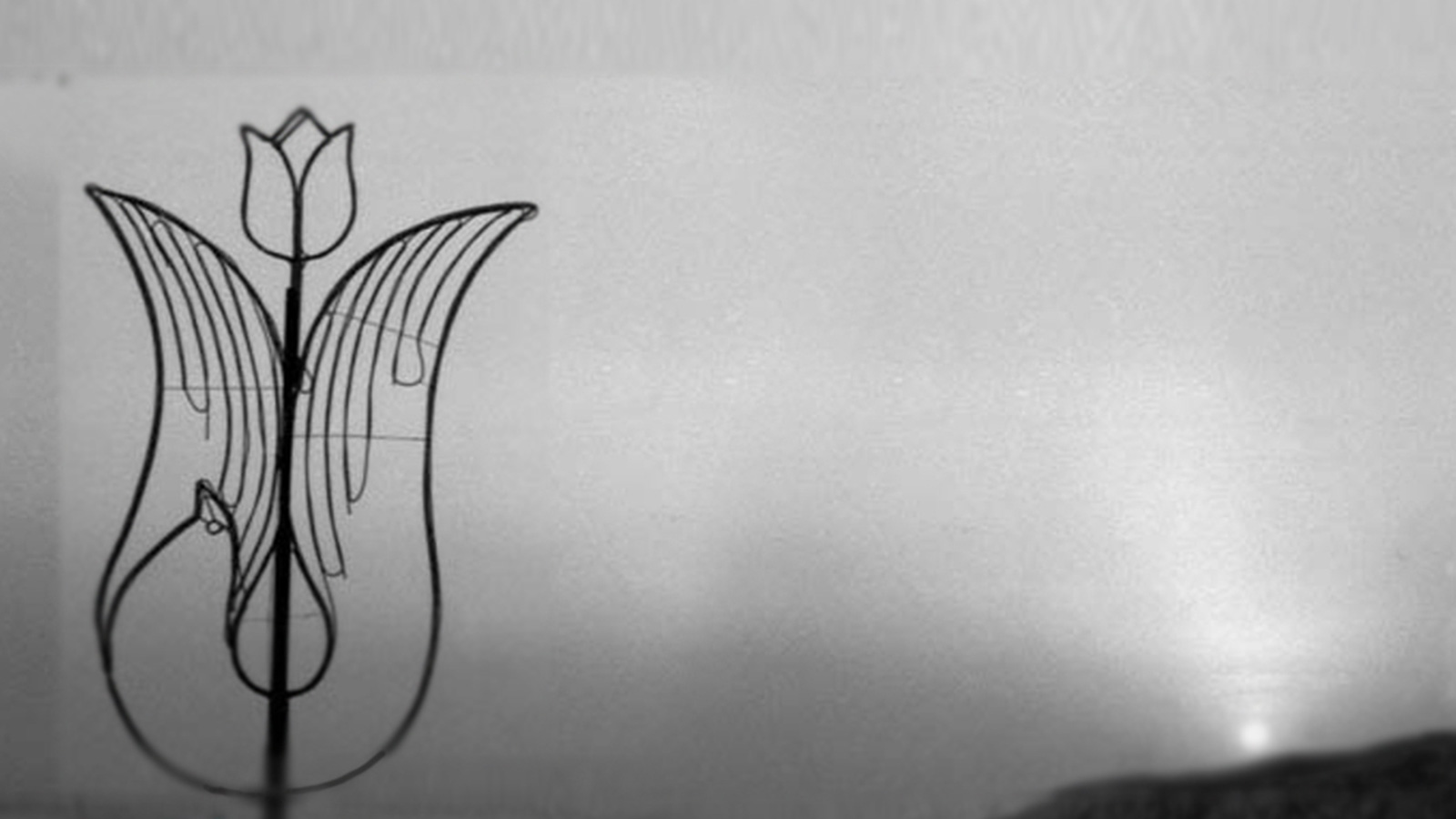 شوش را دیدم-هاشور