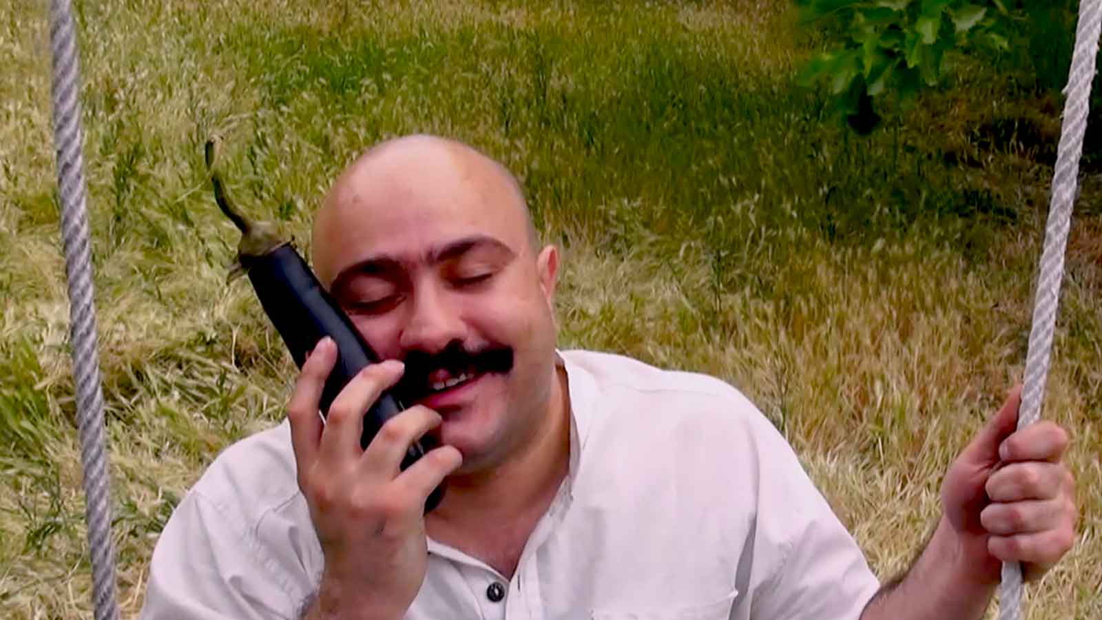 میراث ناپدری-هاشور