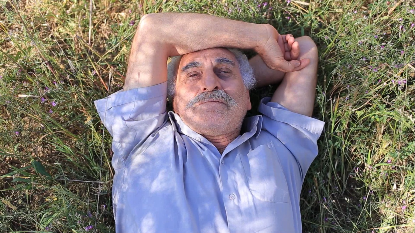 بازدم-هاشور