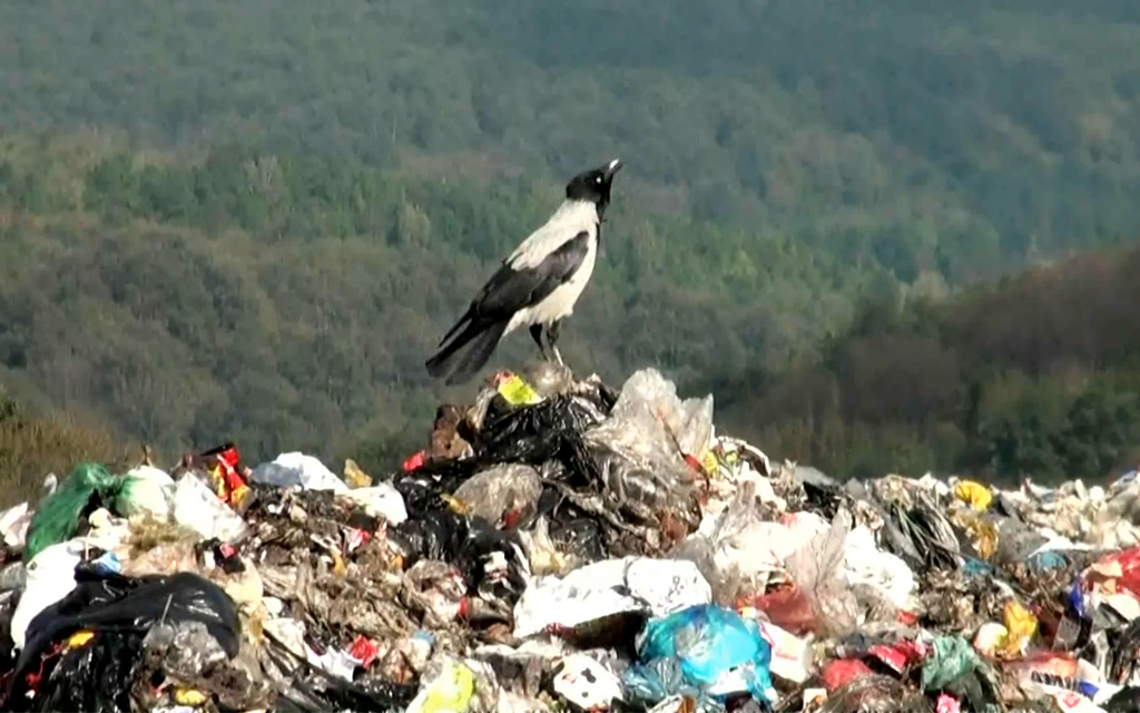 به کجا می رویم؟-هاشور