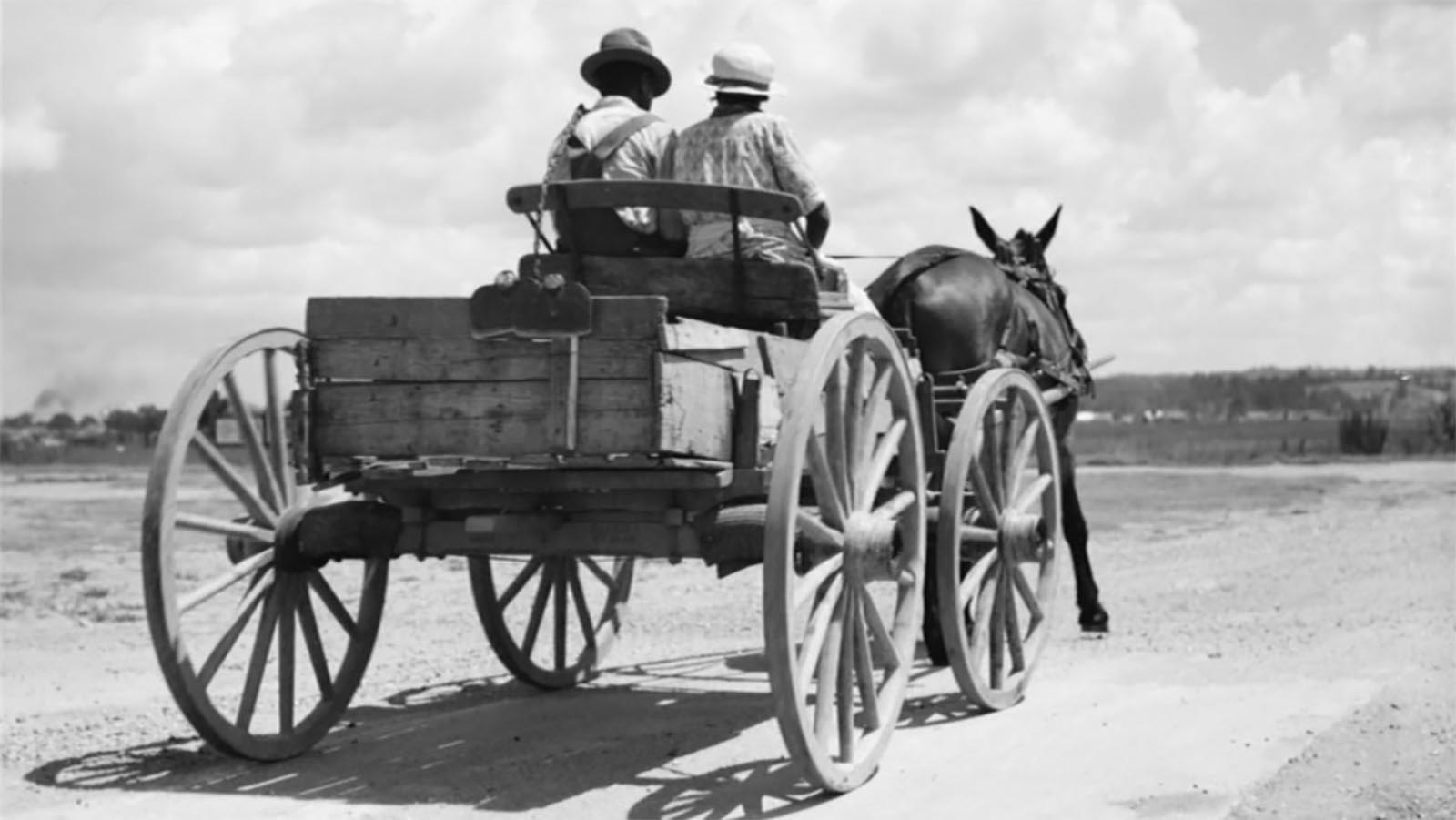 دوروتیا لانگ: چنگ انداختن در آذرخش-هاشور