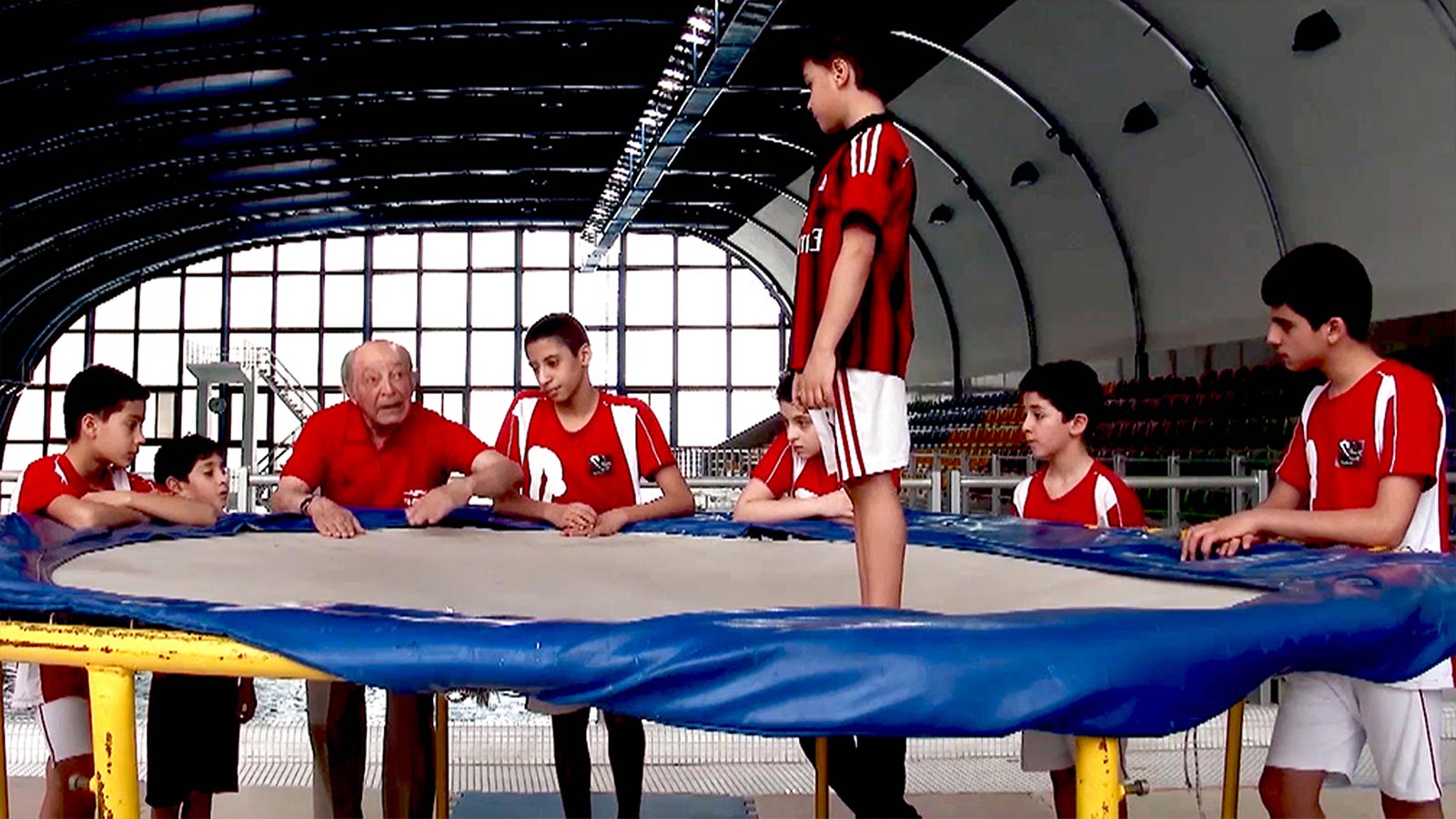 پرنده آبی-هاشور