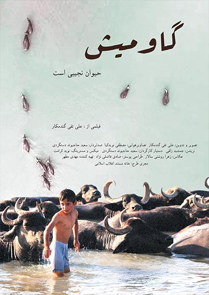 گاو میش حیوان نجیبی است