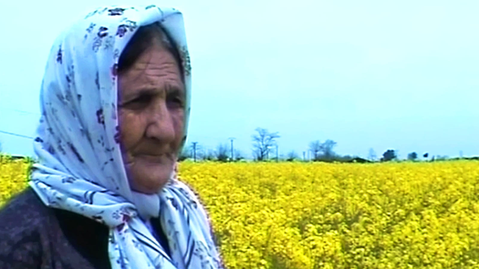 امه خانم-هاشور