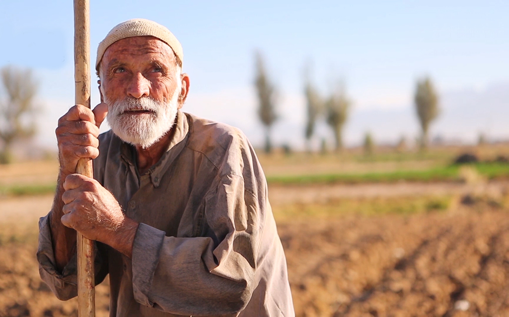 اوسیا-هاشور