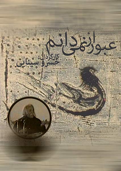 عبور از نمی دانم