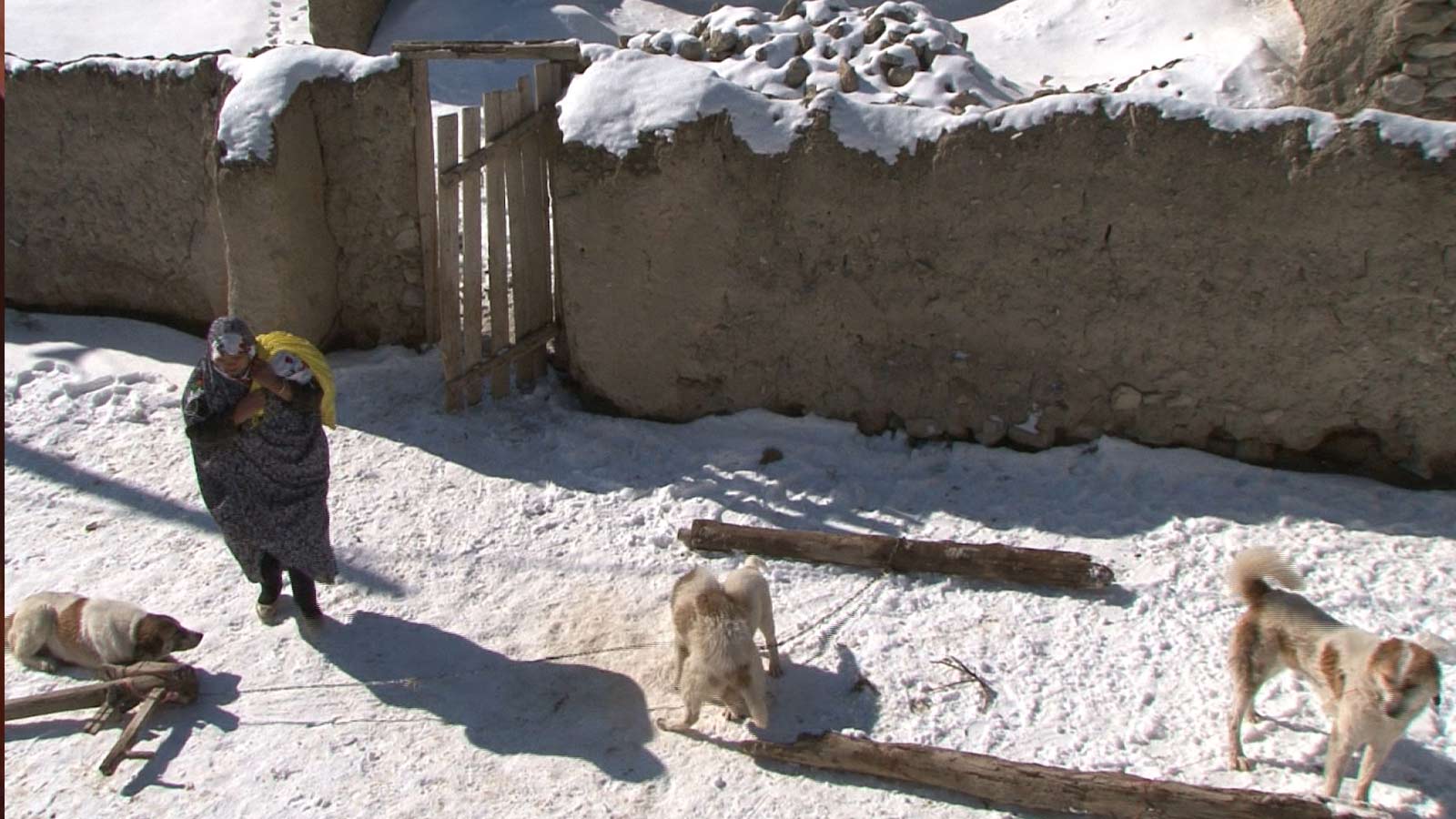 زنجموره-هاشور